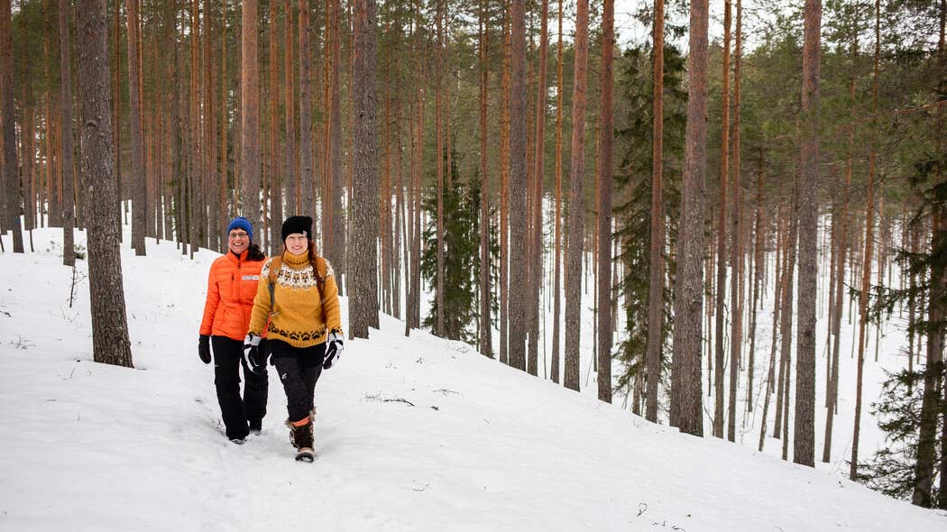 Snöig åslandskap. Två vandrare på en stig.