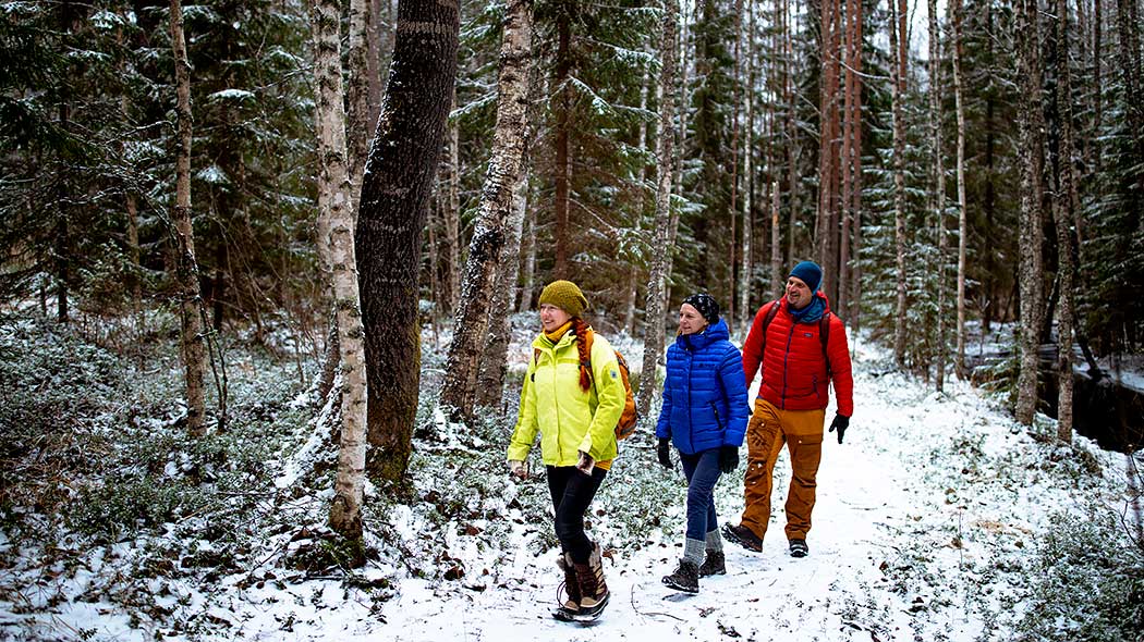 Tre vandrare i färggranna kläder på en snöig naturstig.