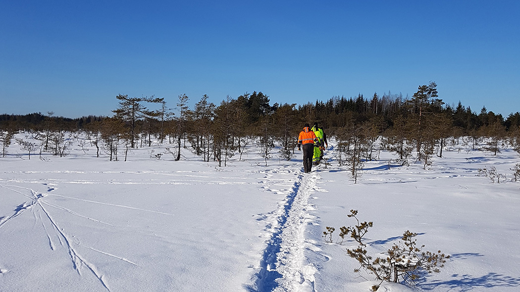 På en solig vinterdag vandrar tre besökare längs en stig i en snöig öppen terräng. I bakgrunden finns skog.