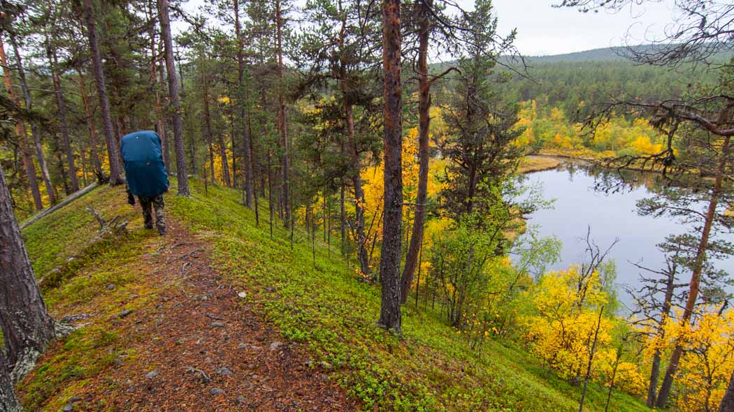 En ensam puckelryggad vandrare på en hög ås. På andra sidan åsen kan man se vatten och runt det lövträd i höstens ljusa färger.