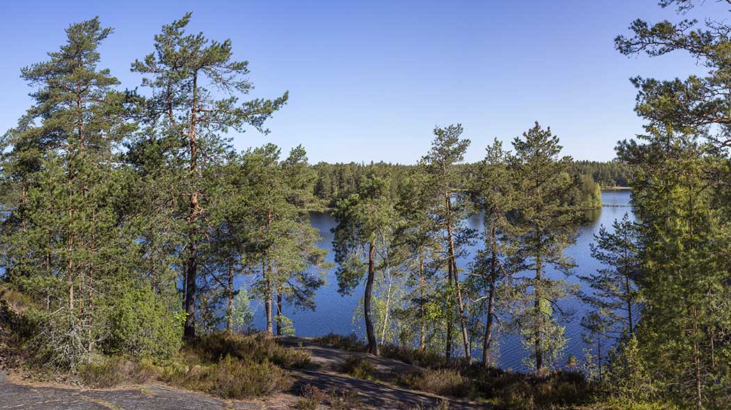 Sommarvy från klippan till sjön. Bild: Jari Kostet.