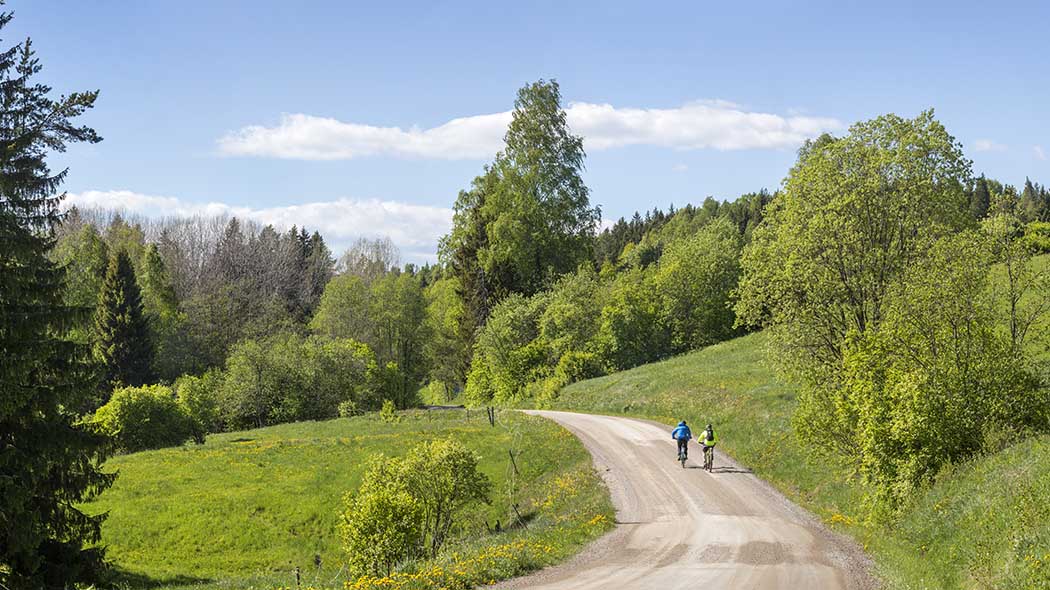 Två männsikor cyklar på en grusväg. På båda sidor finns öppna naturängar, buskar och lövträd.