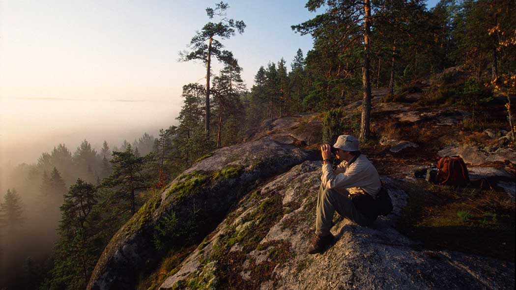 En vandrare sitter på en hög klippa och kikar i den dimmiga barrskogen upplyst av solen.
