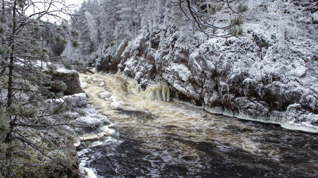 Landskap med ett fors vattenfall mellan klipporna. Stenar och träd är täckta av frost. Det finns istappar längst ner på klippan bredvid vattnet.