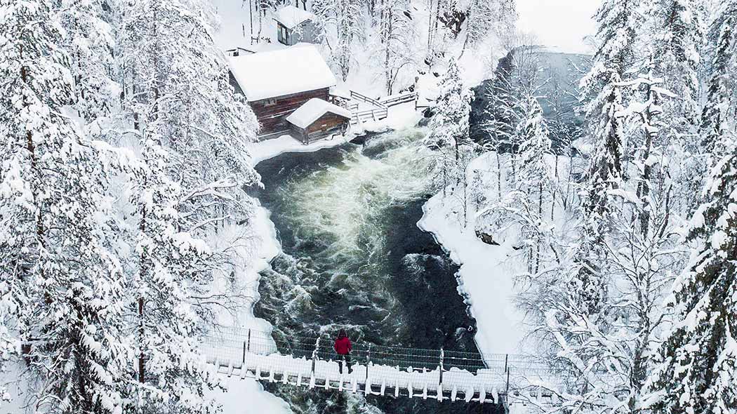Vinterlandskap från Oulanka nationalpark. Mitt i en bubblande fors och en bro, omgiven av en snöig skog. Det finns en vandrare på bron.