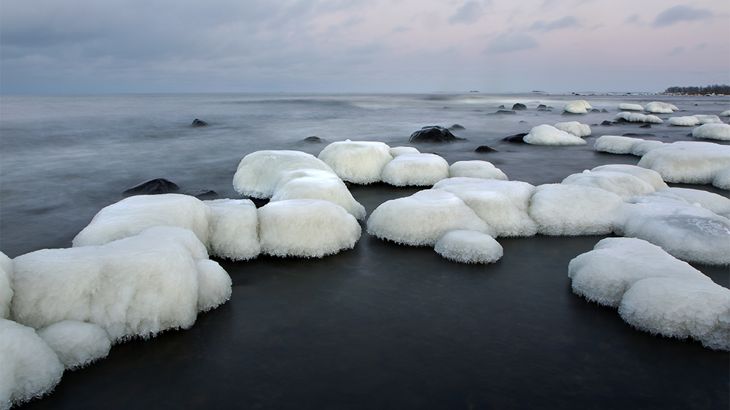 Havet har inte ännu börjat frysa, men snö och is har uppsamlats på stenarna och bildar ett fält med vita bollar mot det mörka vattnet.