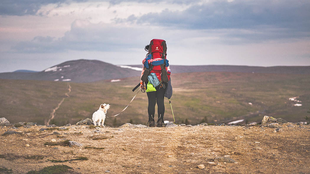 En vandrare står på leden med en stor packning på ryggen och tittar på fjällen vid horisonten. Han har en liten hund i koppel. Det är sommar.