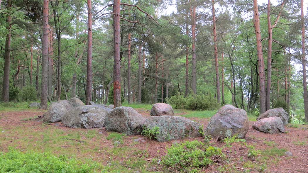 I skogen ligger många stora stenar som tillsammans bildar en cirkel.