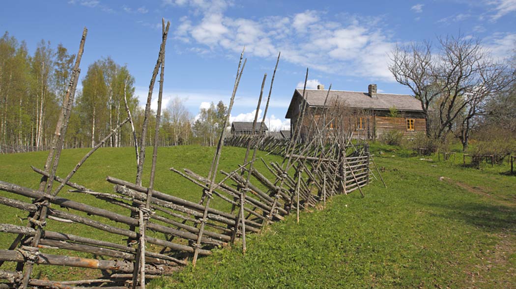 I förgrunden finns ett gammalt staket och i bakgrunden de gamla byggnaderna och äppelträden på Telkkämäki traditionella gård.