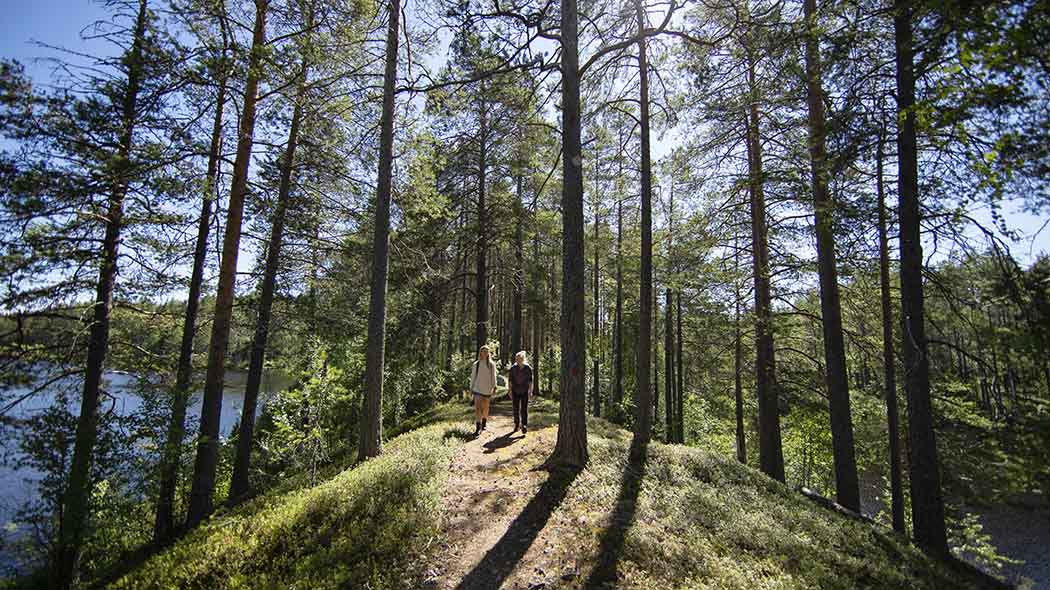 Två vandrare går längs en stig längs en skogbevuxen ås en solig sommardag. Det finns vatten på båda sidor om åsen.