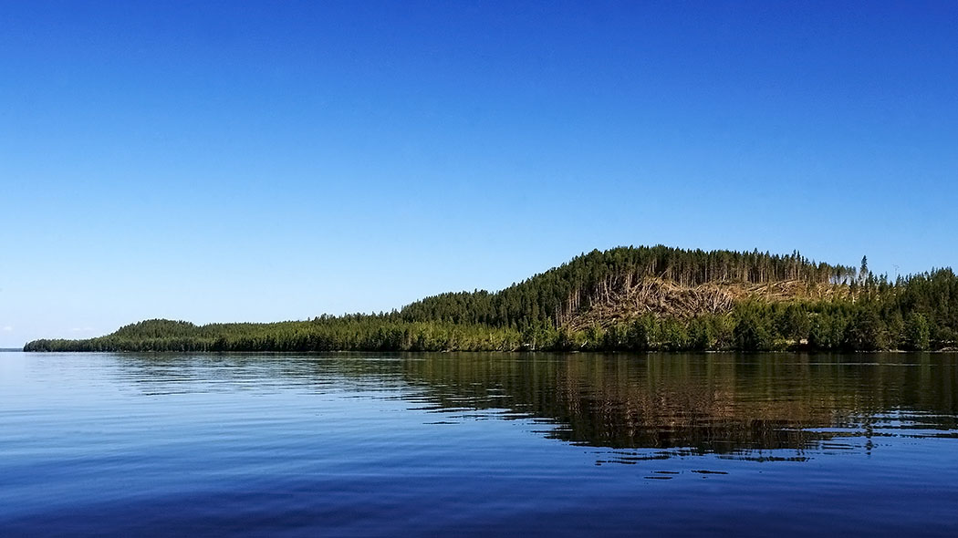 Lugn sjö, hög holme i bakgrunden, blå molnfri himmel. Saaren poikki menee kaatuneiden puiden vana.