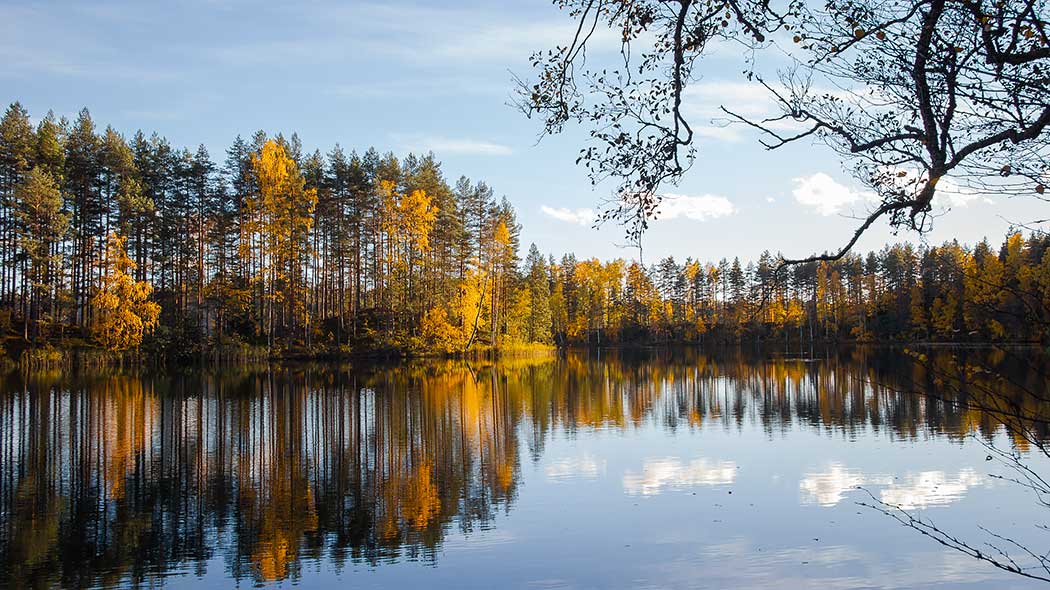 En sjö på motsatt strand av en höstfärgad skog.