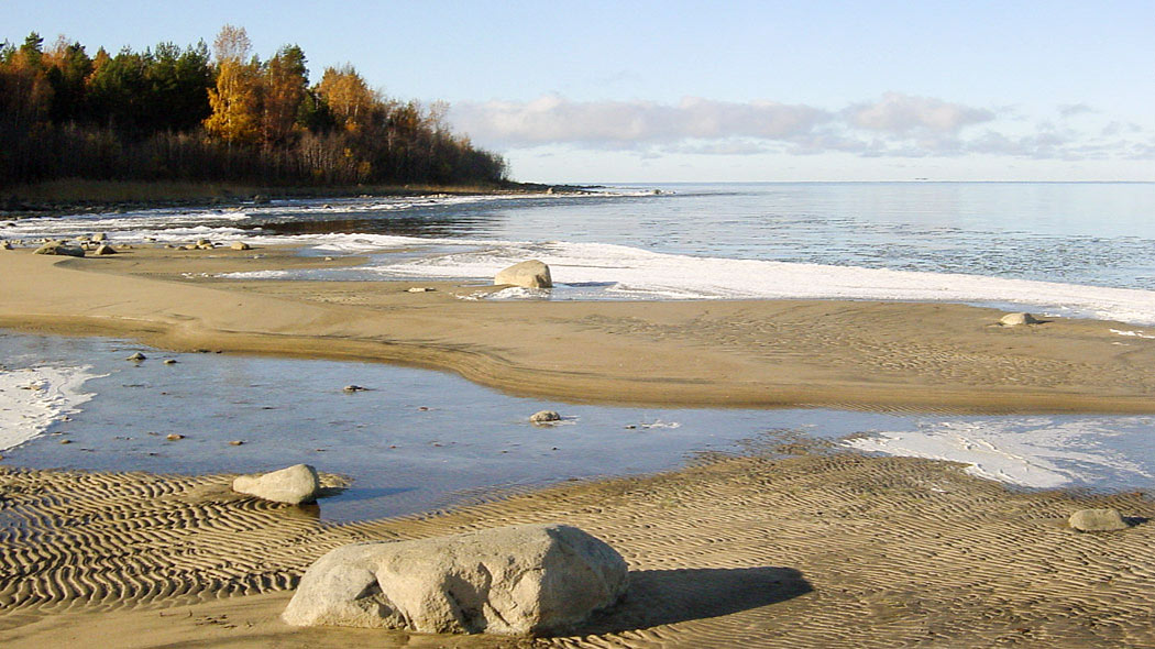 Sandstrand med ett par stora stenar. Strandvattnet är fryst. I bakgrunden skogen i höstfärger.