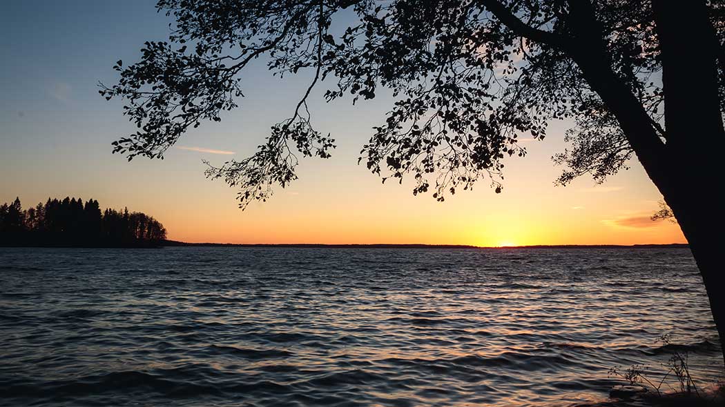 Solen går ner bakom sjön. I förgrunden finns ett lövträd.