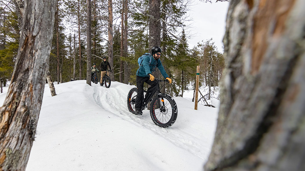 Cyklister åker fatbikes längs en snöig rutt i vinterskogen.